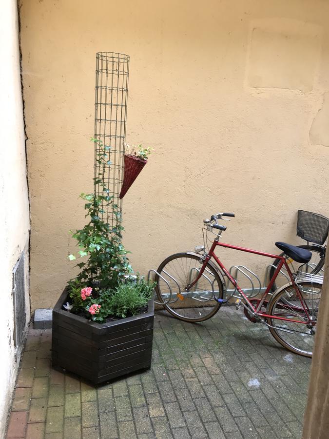 La Cour Des Cordonniers, Centre Cathedrale Petite France Apartment Strasbourg Exterior foto